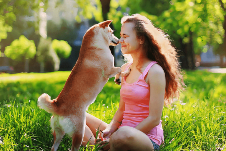 Pets