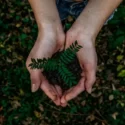 Aloe Vera of America Receives Awards for Environmental Health Efforts
