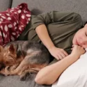 Struggling With Insomnia? Then Start Snoozing With Your Pet