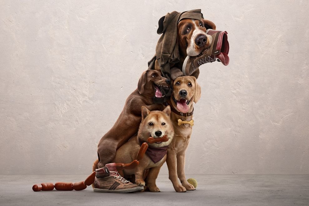 International Dog Day Use Your Voice As A True Dog Lover