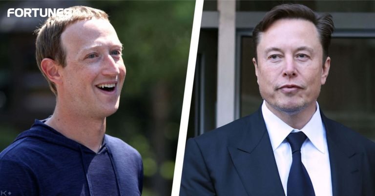 Elon Musk vs Mark Zuckerberg UFC
