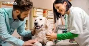 Human’s Best Friend! Research Says Dogs Contain Genes To Cure Cancer!