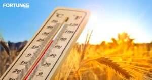 July Hits Warming Threshold. Experts Warn Heat Waves