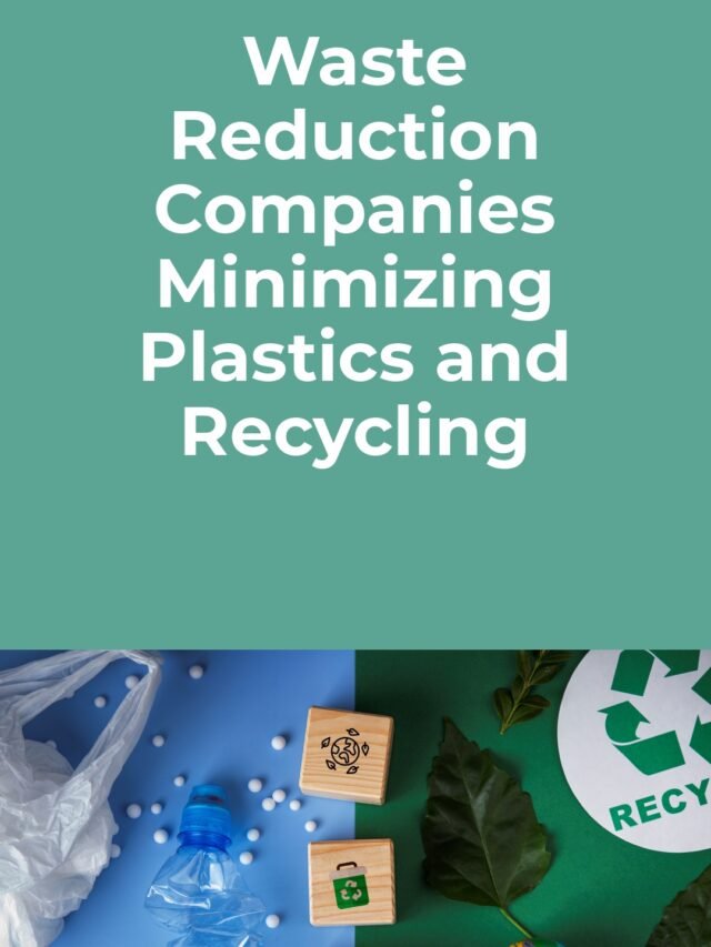 Waste Reduction: Companies Minimizing Plastics and Recycling