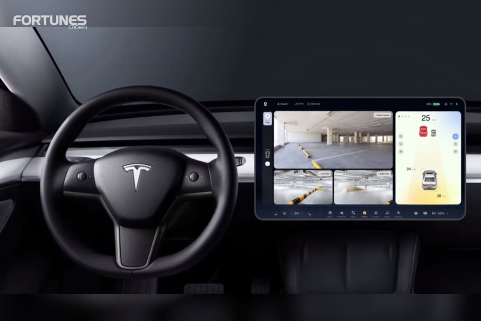 Tesla’s self-driving car