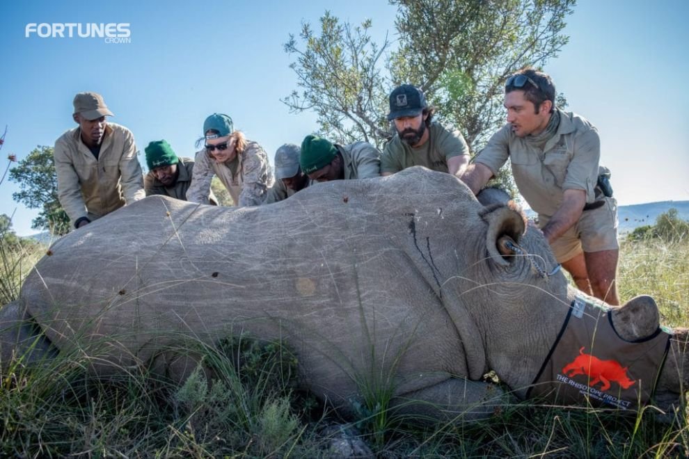 Radioactive Isotopes to stop rhino poaching