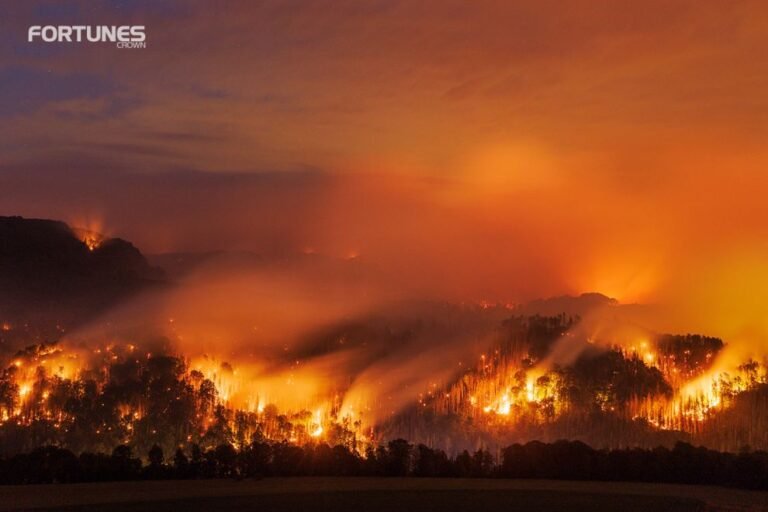 Record-breaking Wildfires Destroyed Brazil’s Largest Tropical Wetland