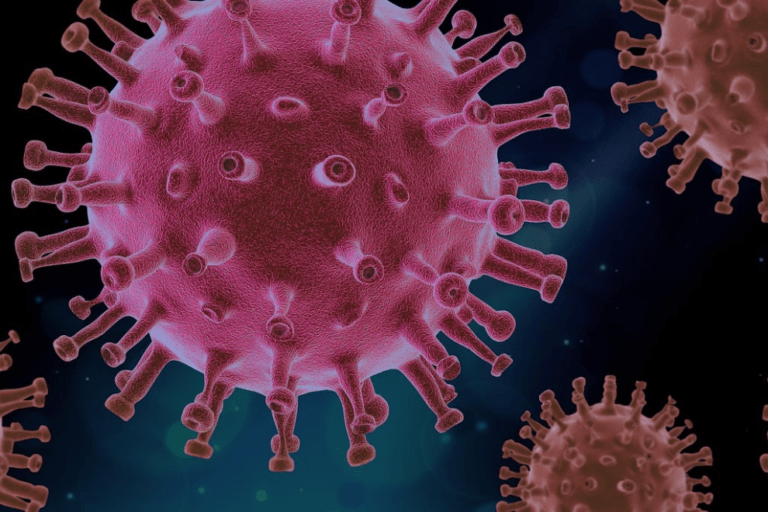 Understanding the HMPV Virus: A Comprehensive Guide