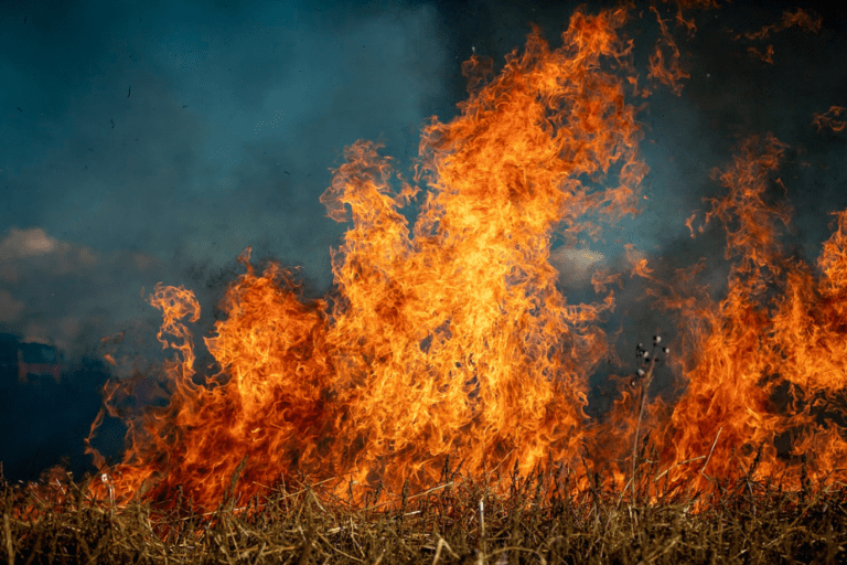 Blazing Earth: The World’s Most Devastating Wildfires