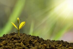Compound Interest