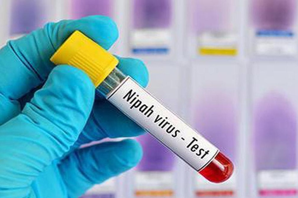 Nipah Virus: The Silent Threat in Fruit Bats and Why the World is Watching