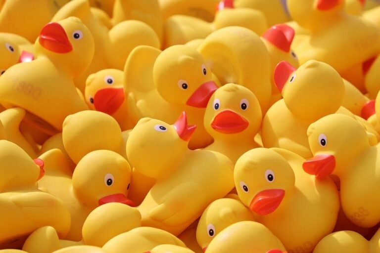 Tips for Planning Your Will: How to Get Your Ducks in a Row